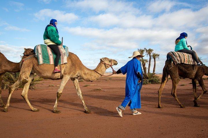 Tour su cammello e quad, partenza da Marrakech