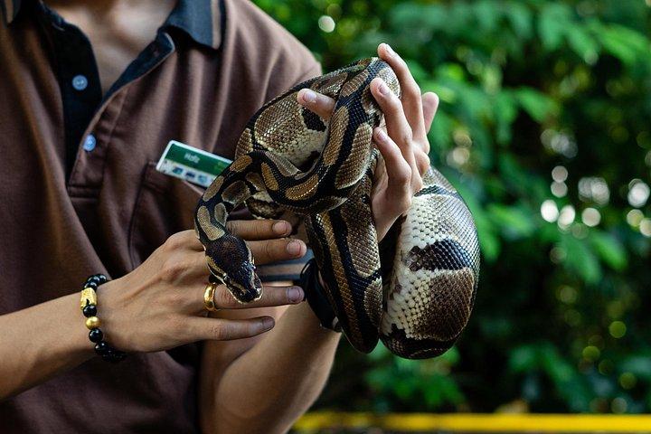 動物園の朝（朝食なし）