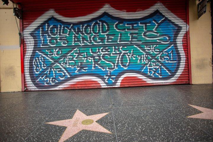 Hollywood Open Bus Tours