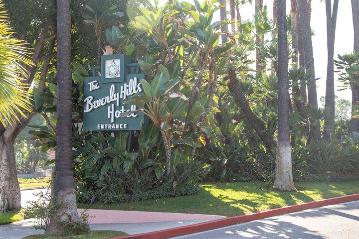 Hollywood Open Bus Tours