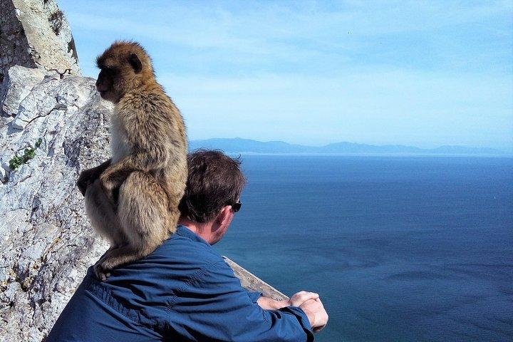 Gibraltar Privattour ab Marbella oder Malaga