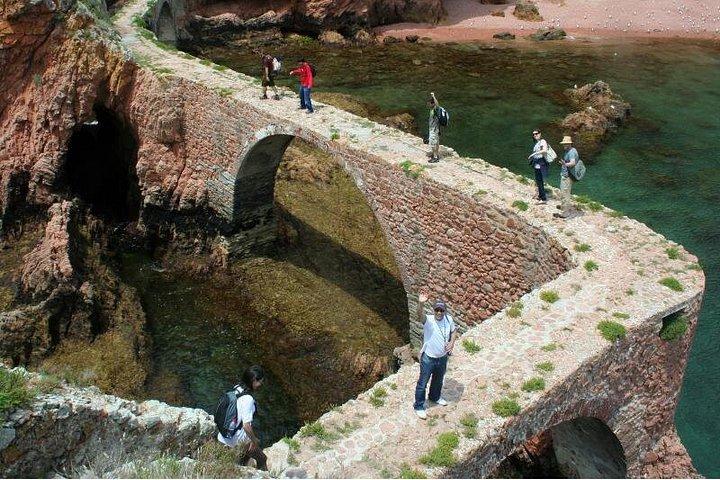 リスボン発Berlenga島小グループ日帰り旅行