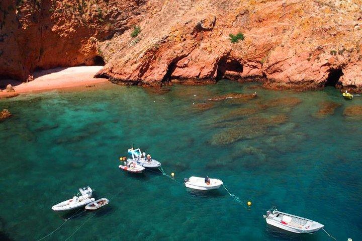 リスボン発Berlenga島小グループ日帰り旅行