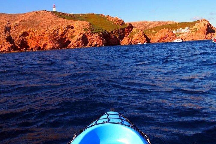 リスボン発Berlenga島小グループ日帰り旅行