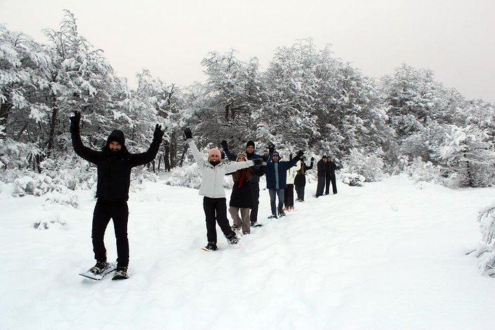 Full Day Snow
