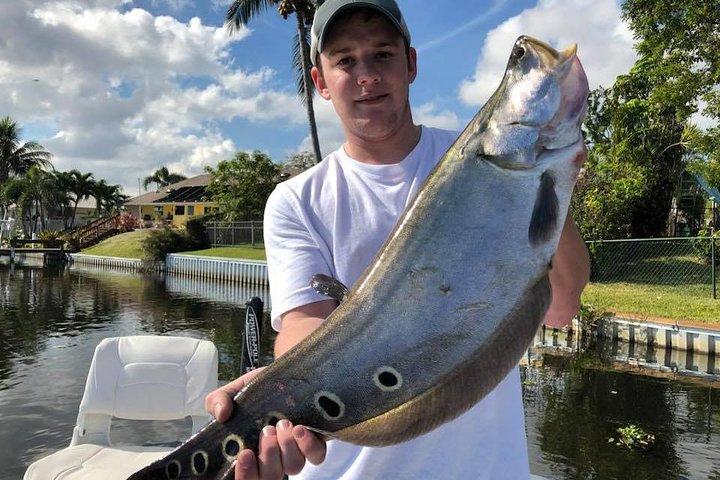 Private Peacock Bass Angelcharter in der Nähe von West Palm Beach