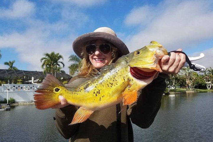 Viaggi di pesca bassi del pavone vicino a Palm Beach Florida