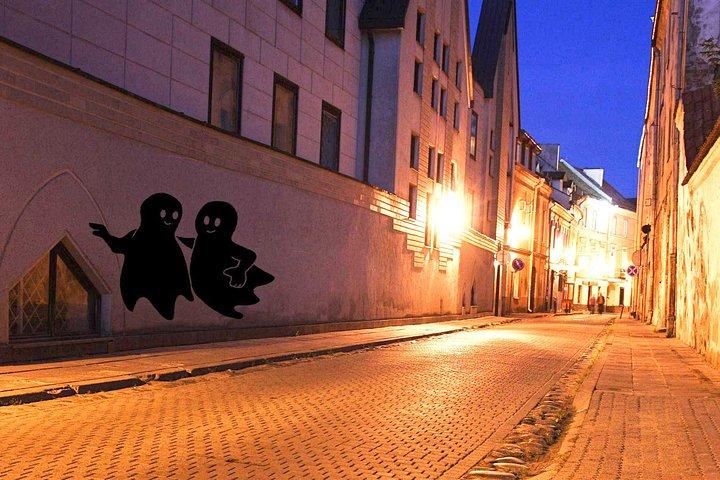 Vilnius Old Town Tour privato di 2 ore
