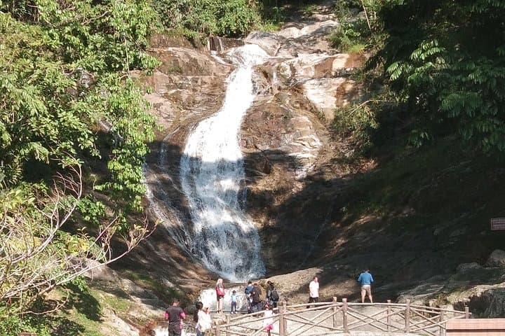 Cameron Highland Day Trip