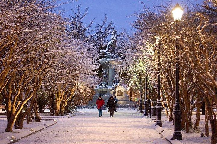 Punta Arenas: traditionele stadstour van een halve dag