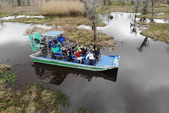 New Orleans Small-Group Airboat Swamp Tour