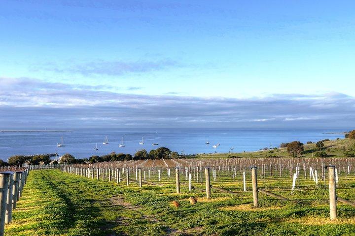 Tour di degustazione di escursioni a terra di Kangaroo Island - Solo per passeggeri di navi da crociera