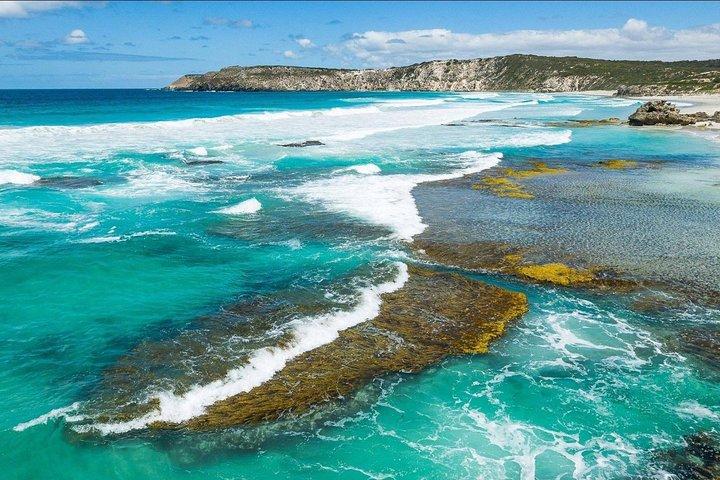 Tour di degustazione di escursioni a terra di Kangaroo Island - Solo per passeggeri di navi da crociera