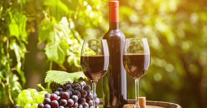 San Gimignano ed esperienza in cantina con pranzo da Livorno