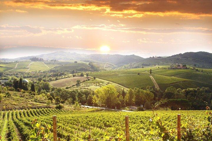 Private Pisa, Pasta en Chianti Lovers Wine Experience Livorno Shore Excursion