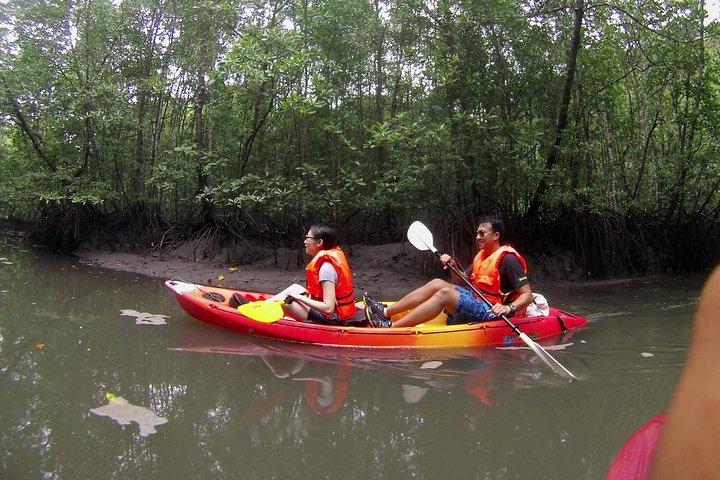 Langkawi Mangrove Kajakervaring met lunch