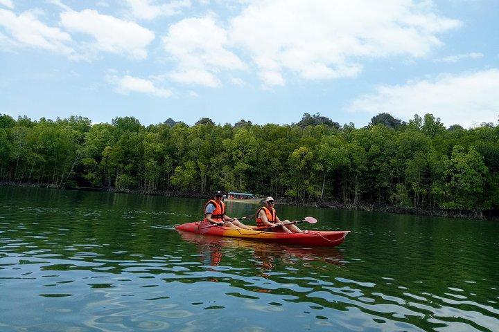 Langkawi Mangrove Kajakervaring met lunch