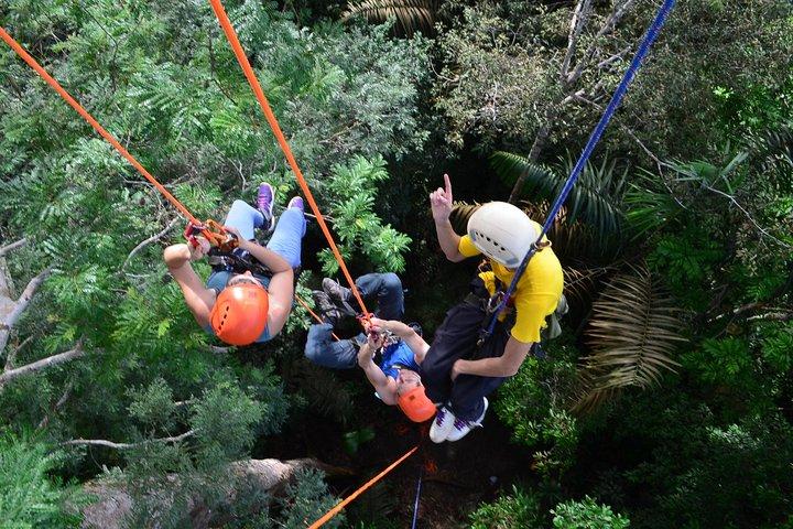 Escalada de árboles en el Amazonas