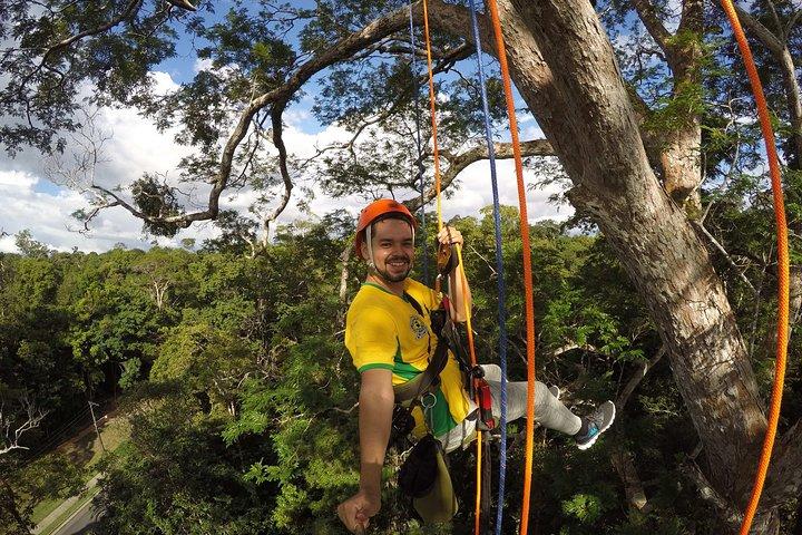 Escalada de árboles en el Amazonas