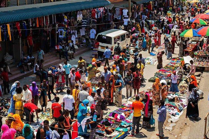 Dar Es Salaam Stadtrundfahrt. Alle Dinge, die man gesehen haben muss (privater Führer und Auto) Ganzer Tag