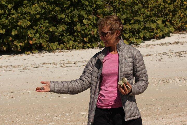 Everglades Small Group Guided Boating & Walking Tour Expedition