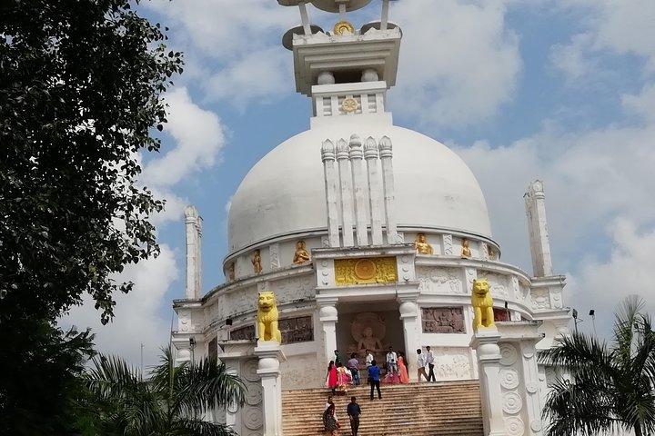 Tour della città di Bhubaneswar e tempio del sole di Konark in auto privata con guida