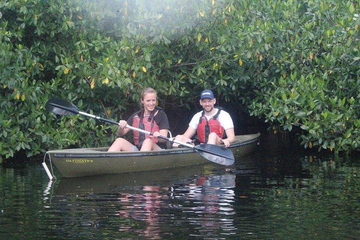 Tour ecologico in kayak al tunnel di mangrovie guidato di 3 ore
