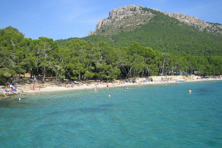 Mallorca: Scenic Formentor Tour by Bus & Boat