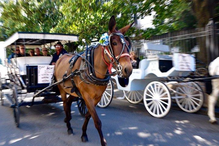 New Orleans French Quarter e altro giro in carrozza