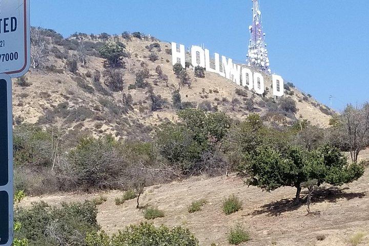 Rondleiding van een halve dag door Hollywood en Beverly Hills met exclusieve stops