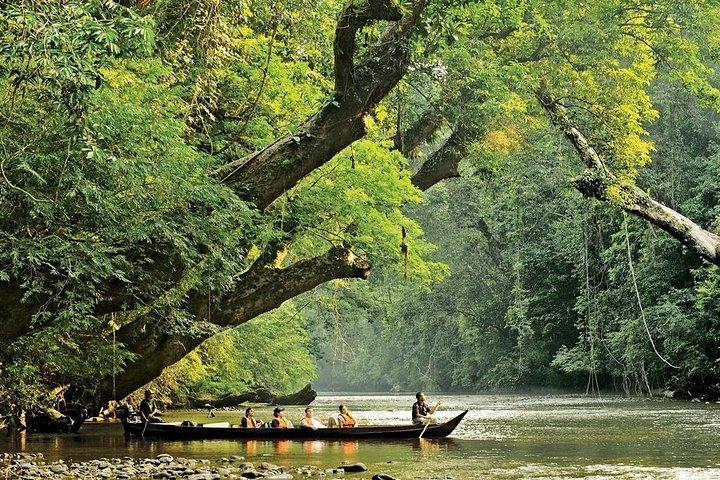 Navette de Kuala Lumpur à Taman Negara