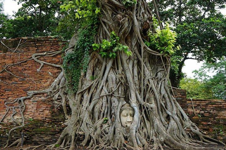 Descubra los sitios declarados Patrimonio de la Humanidad por la UNESCO - Ayutthaya al Parque Nacional Khao Yai