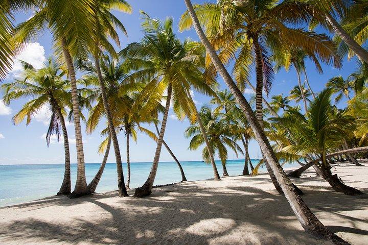 Saona Island Tagesausflug von Punta Cana mit Mittagessen und Open Bar