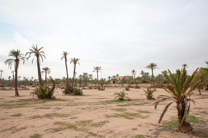 Marrakech Heteluchtballonvaart, Berberontbijt & Kamelenrit