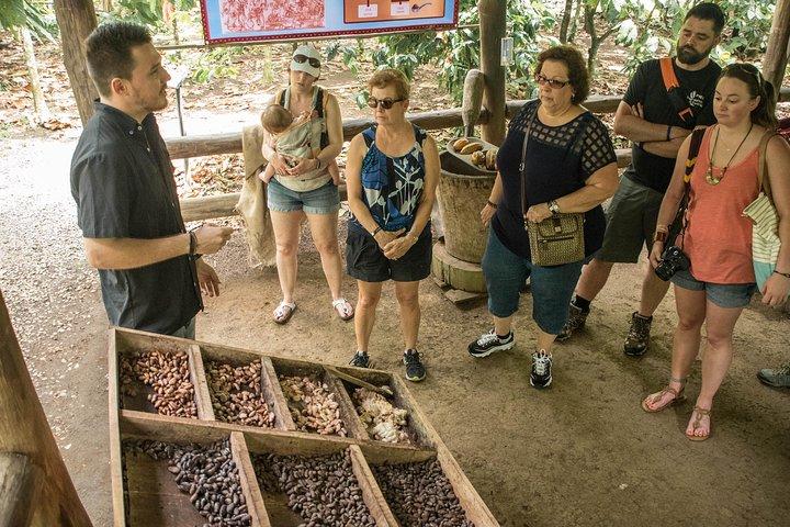 Chocolate Tour & Arenal Hot Springs. Visite privée