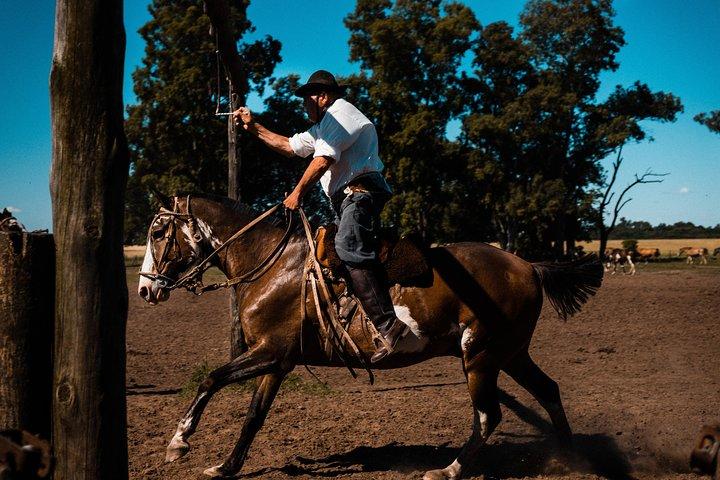 ブエノスアイレスからのガウチョ日帰り旅行：Santa Susana Ranch