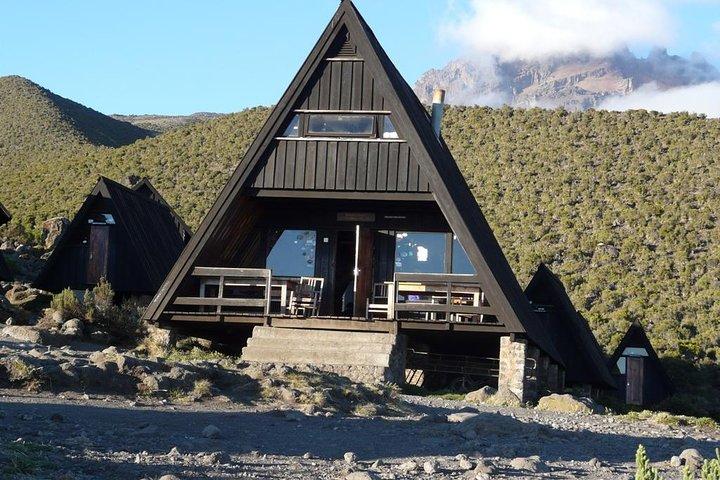 Kilimanjaro Mountain dagtocht wandelen