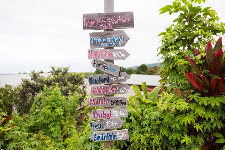 Dagtrip van Oahu naar Hilo : vulkaanavontuur
