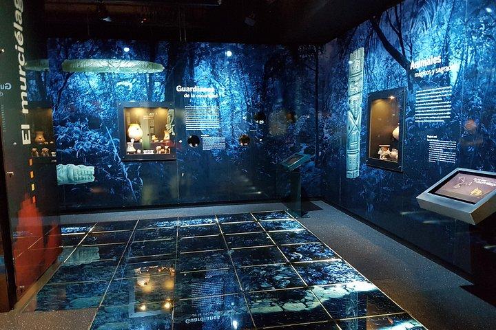 サンノゼ・シティ・ツアー。 ランチ付きプレミアム体験