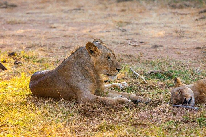 Safari di 3 giorni a Samburu da Nairobi