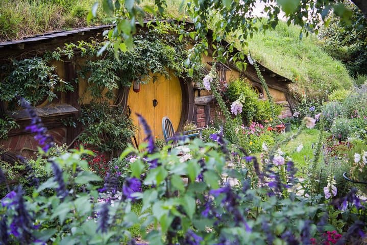 Auckland to Rotorua via Hobbiton Small Group Tour (One Way)