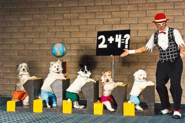 Popovich Comedy Pet Theater no Planet Hollywood Resort e Casino
