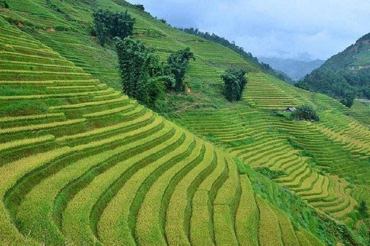 Private Car and Tour Guide Exploring Northern Vietnam