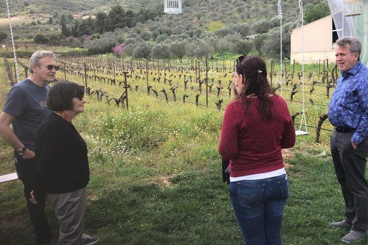 From Athens: Private Tour to Corinth Canal, Corinth & Nemea