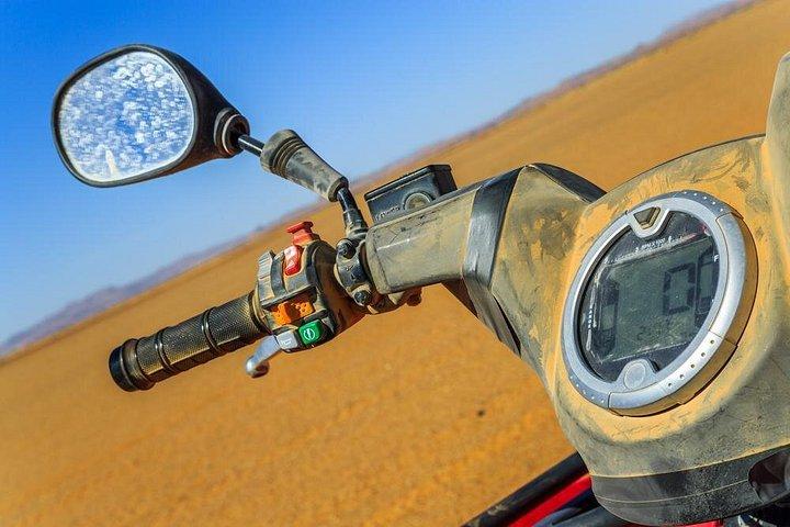 ヤシの木立でのクワッドバイクとラクダ乗り