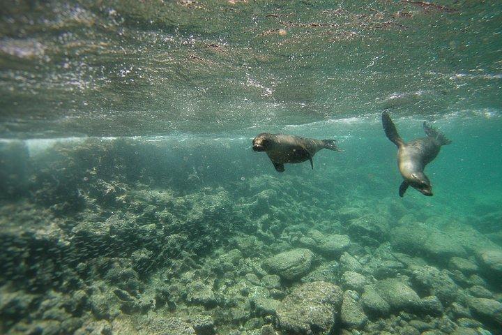 6 días de viajeros activos por la isla