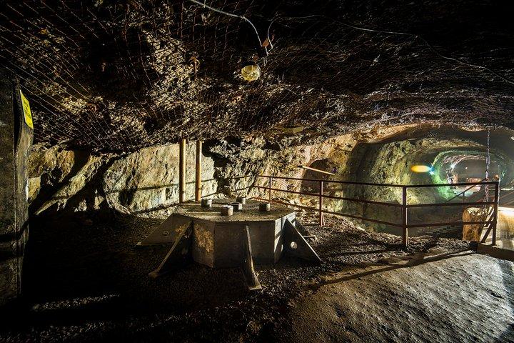 Private Round Trip to Project Riese Including Tickets
