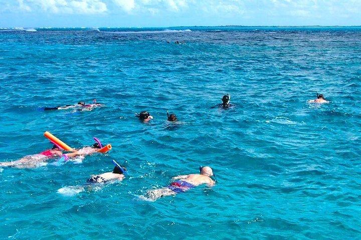 グレースベイ、プロビデンシアレスでのグループ半日シュノーケルツアー4時間