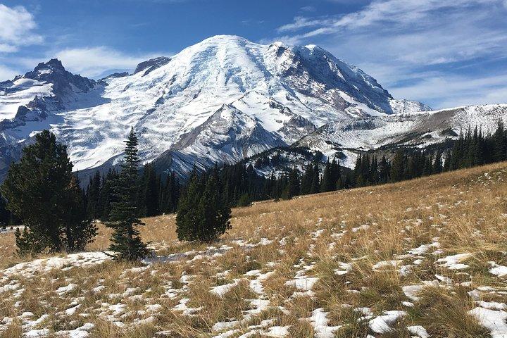 Mount Rainier Day Hike