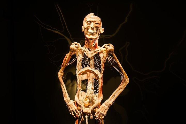 Bodies The Exhibition no Luxor Hotel e Cassino